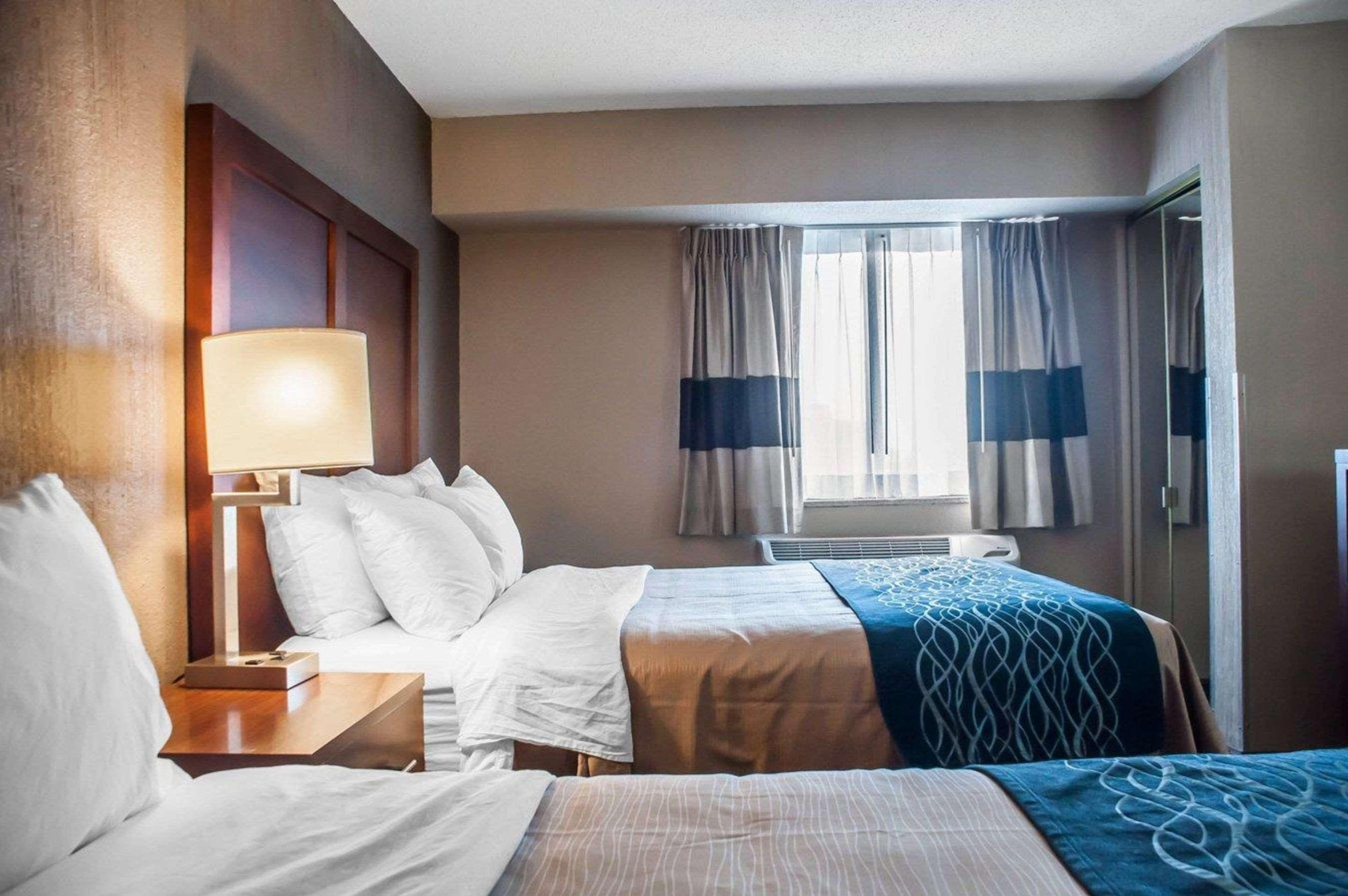 Comfort Inn University Амхерст Экстерьер фото