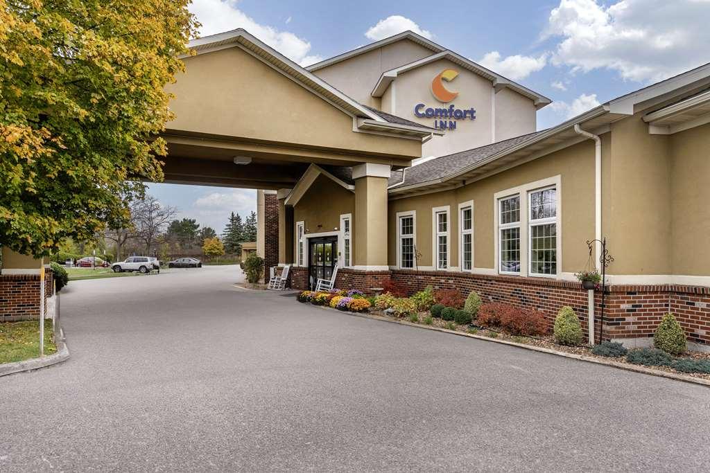 Comfort Inn University Амхерст Экстерьер фото