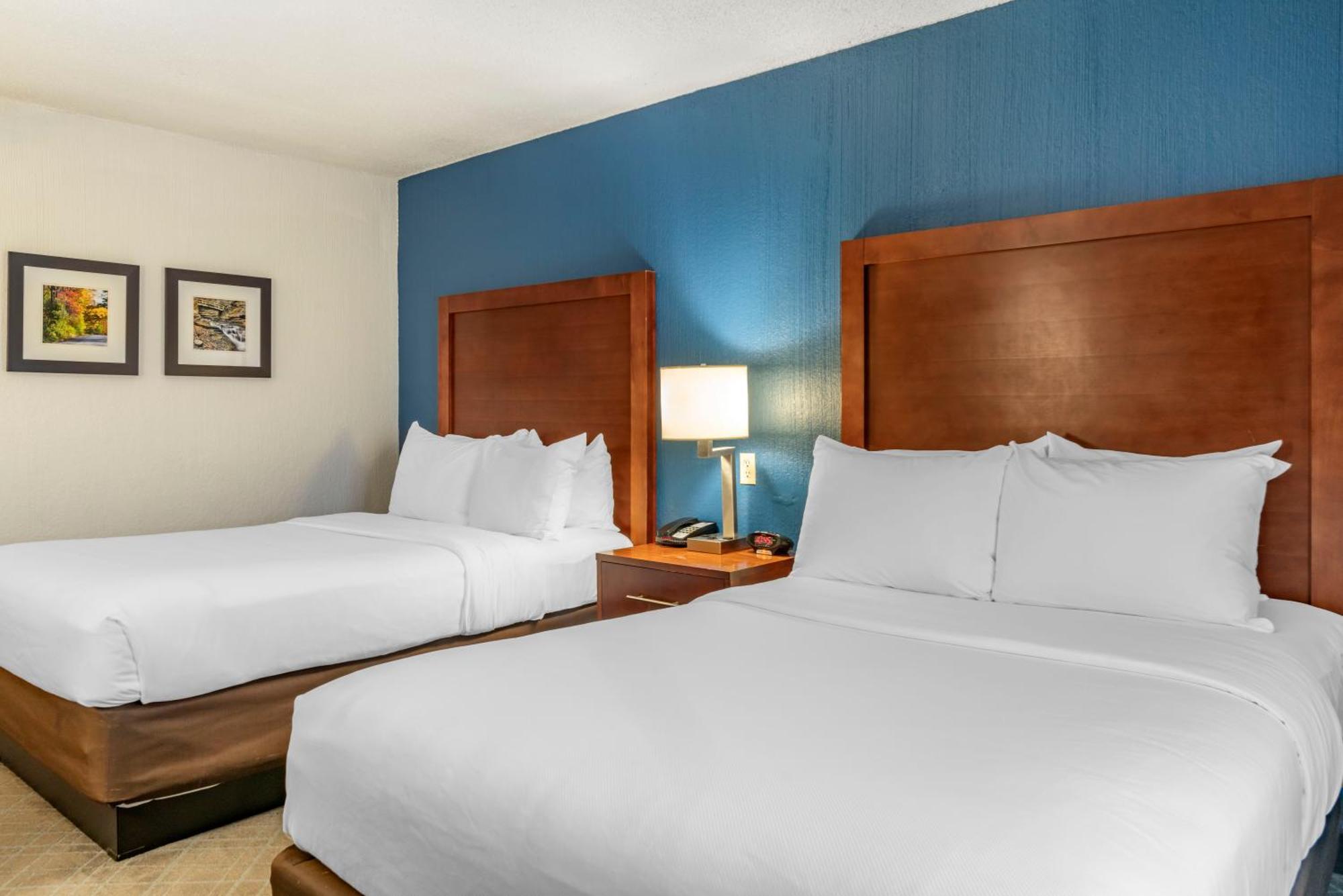 Comfort Inn University Амхерст Экстерьер фото